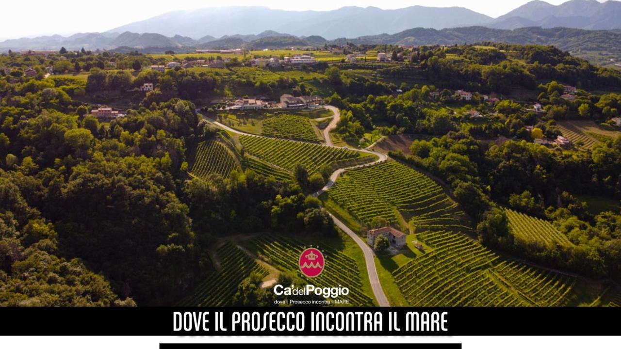 Villa Del Poggio Prosecco Bike Hotel San Pietro Di Feletto ภายนอก รูปภาพ